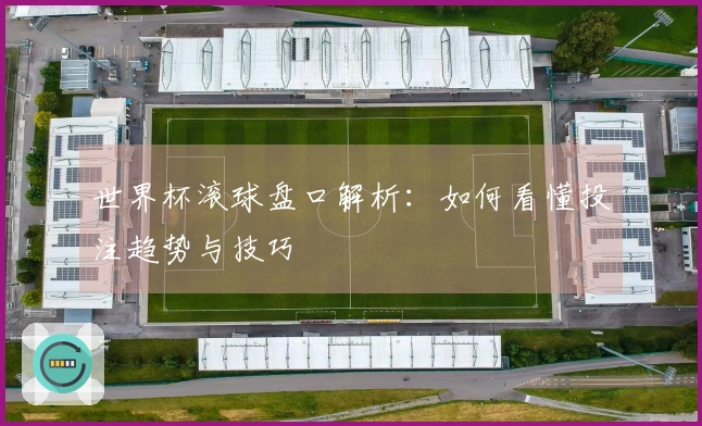 世界杯滚球盘口解析：如何看懂投注趋势与技巧