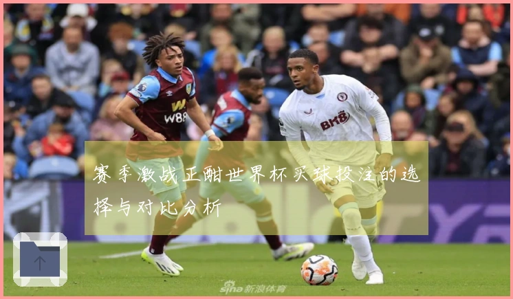 赛季激战正酣世界杯买球投注的选择与对比分析