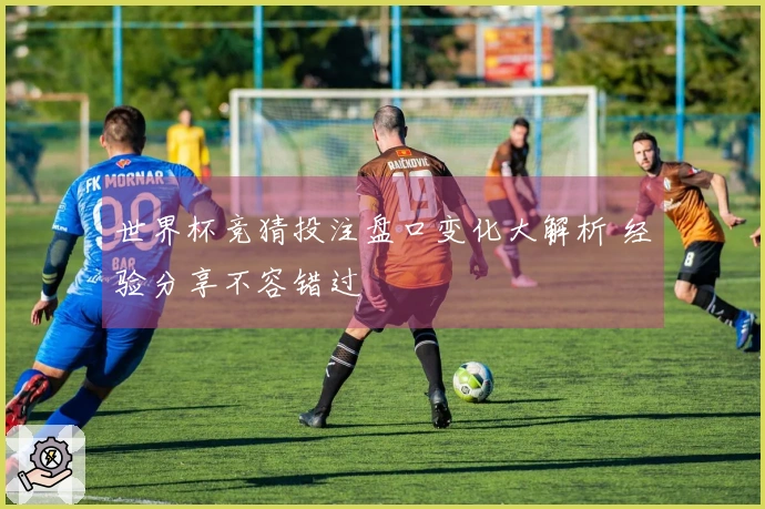 世界杯竞猜投注盘口变化大解析 经验分享不容错过