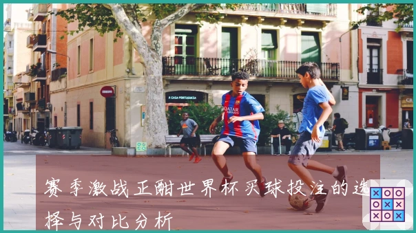 赛季激战正酣世界杯买球投注的选择与对比分析