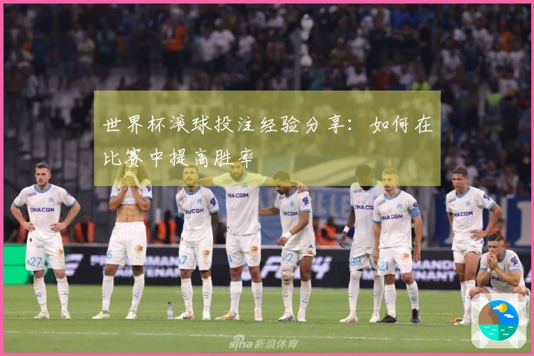 世界杯滚球投注经验分享：如何在比赛中提高胜率
