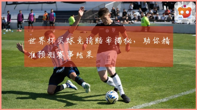 世界杯买球竞猜赔率揭秘，助你精准预测赛事结果