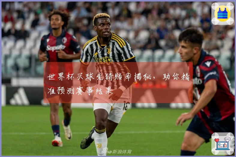 世界杯买球竞猜赔率揭秘，助你精准预测赛事结果