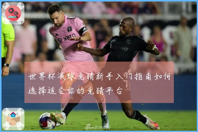 世界杯滚球竞猜新手入门指南如何选择适合你的竞猜平台