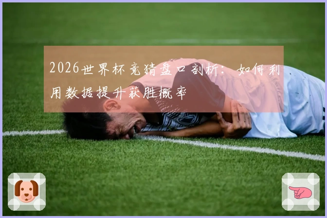 2026世界杯竞猜盘口剖析：如何利用数据提升获胜概率