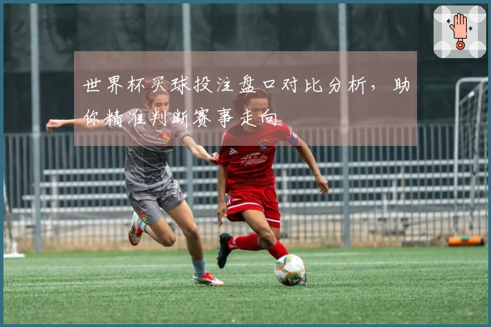 世界杯买球投注盘口对比分析，助你精准判断赛事走向