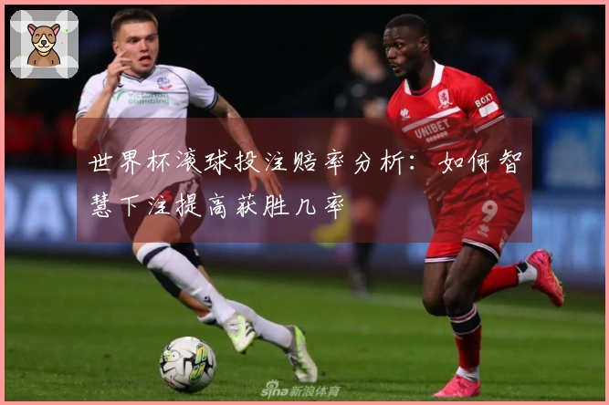 世界杯滚球投注赔率分析：如何智慧下注提高获胜几率